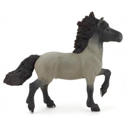 Islandic horse