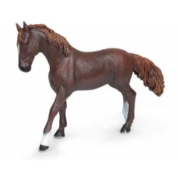 Dark Alezan english thouroughbred mare