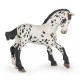 Poulain appaloosa noir