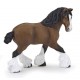 Bay shire horse mare