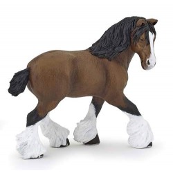 Bay shire horse mare
