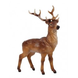 Stag