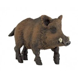 Wild boar