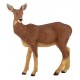BICHE