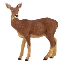 BICHE
