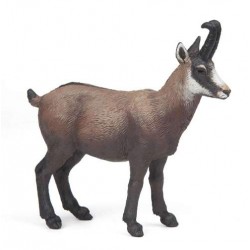 CHAMOIS