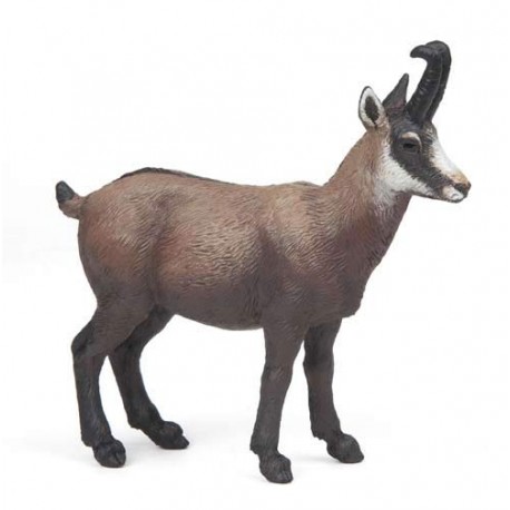 CHAMOIS