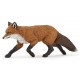 RENARD
