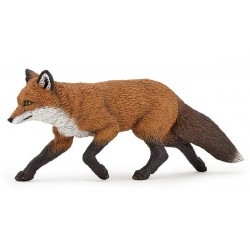 Fox