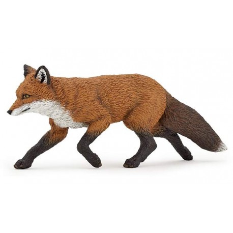 Renard