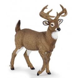 CERF DE VIRGINIE