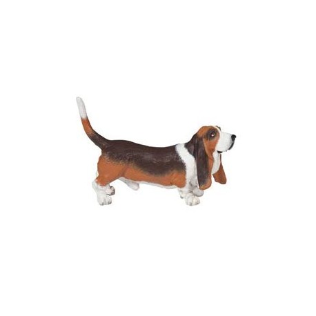 BASSET HOUND