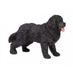 NEWFOUNDLAND TERRIER