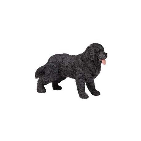NEWFOUNDLAND TERRIER