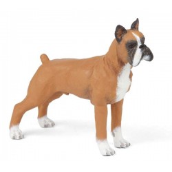 BOXER