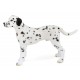 Dalmatien