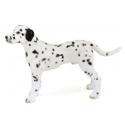 DALMATIAN