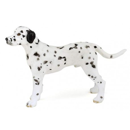 DALMATIAN
