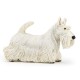 Scottisch Terrier
