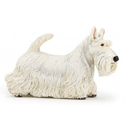 Scottish Terrier