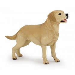 LABRADOR