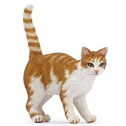 CHAT ROUX