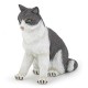 CHATTE ASSISE