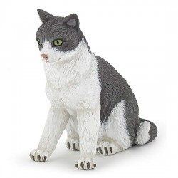 CAT SITTING DOWN