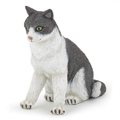 CHATTE ASSISE