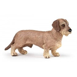DACHSHUND
