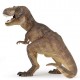 TYRANNOSAURE REX