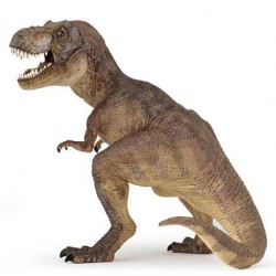 TYRANNOSAURE REX