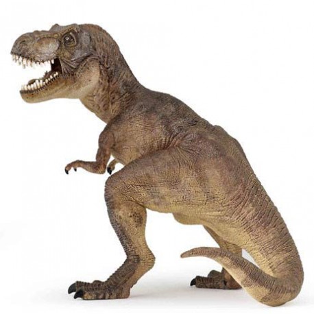TYRANNOSAURE REX