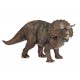 Triceratops