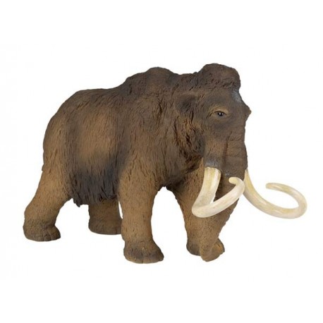 MAMMOTH