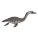 Plesiosaurus