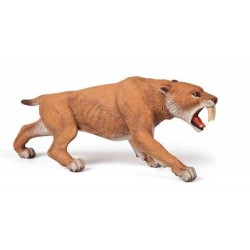 SMILODON