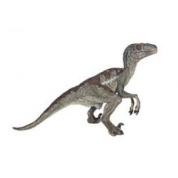 VÉLOCIRAPTOR