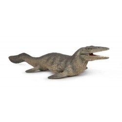TYLOSAURE