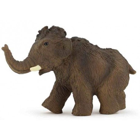 YOUNG MAMMOTH
