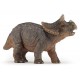 JEUNE TRICÉRATOPS