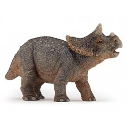 JEUNE TRICÉRATOPS