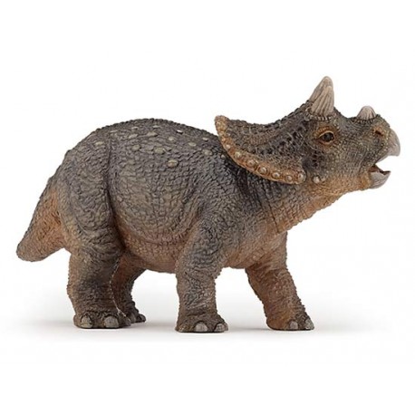 YOUNG TRICERATOPS