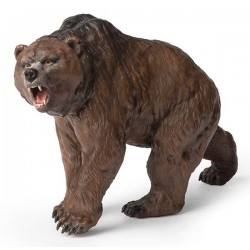 OURS DES CAVERNES