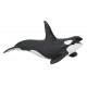 KILLER WHALE