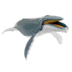 HUMPBACK WHALE
