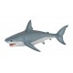 WHITE SHARK