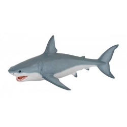WHITE SHARK