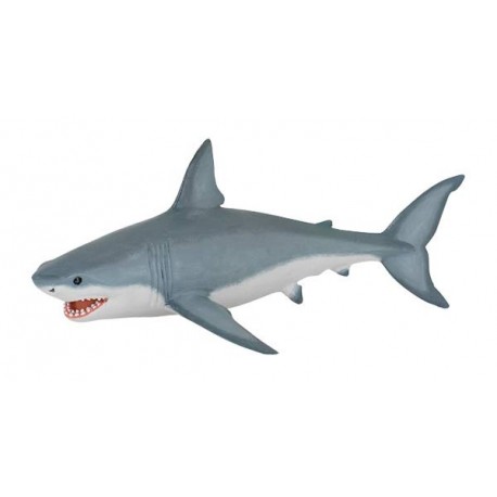 WHITE SHARK