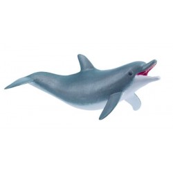 DOLPHIN, PLAYING